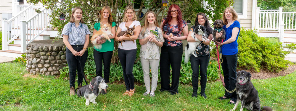 Veterinary team at Fairfield County Veterinary Hospital