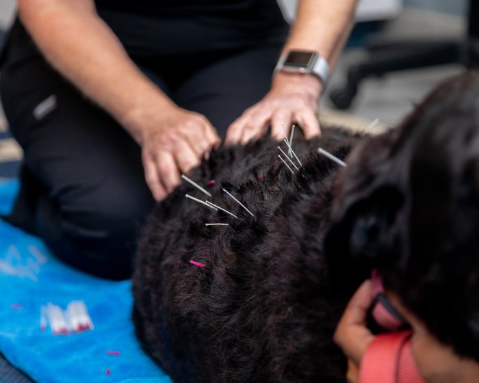 Acupuncture, South Wilton