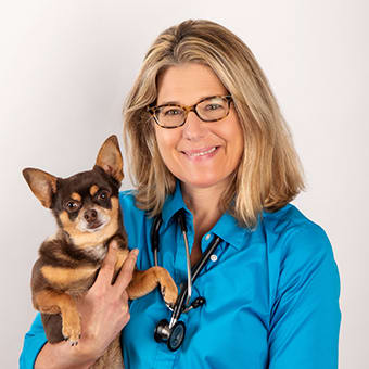 Dr. Stacy Robertson, Wilton Vet