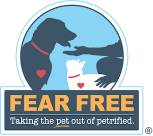 Fear-Free Certified South Wilton Vet