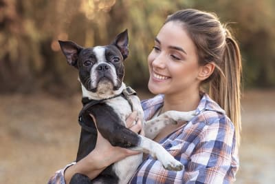 Wellness Plans and Pet Insurance, South Wilton Vet